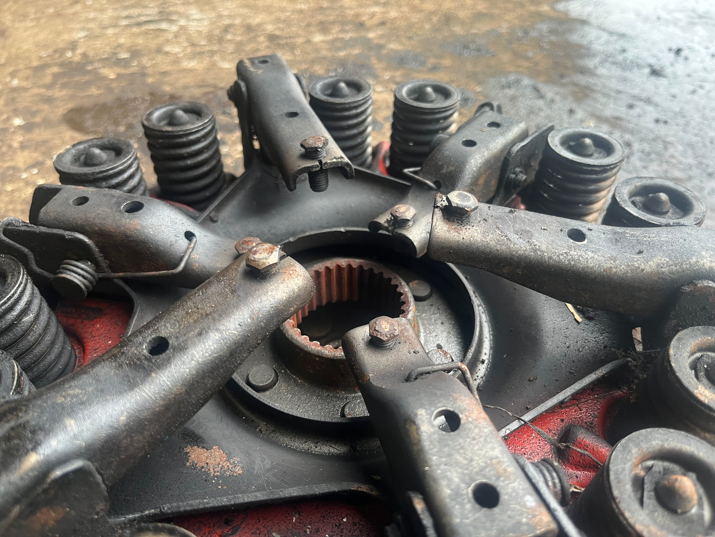 Livedrive clutch assy
