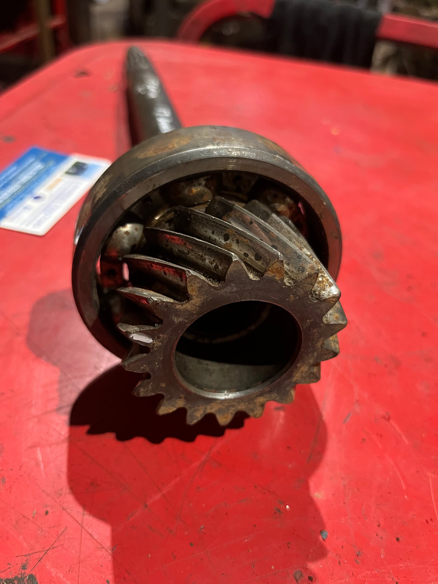 Input shaft & bearing