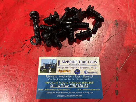 Inner timing cover bolts